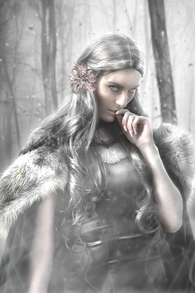 ___w_i_n_t_e_r____by_j_u_d_a_s-d5kjoef.png