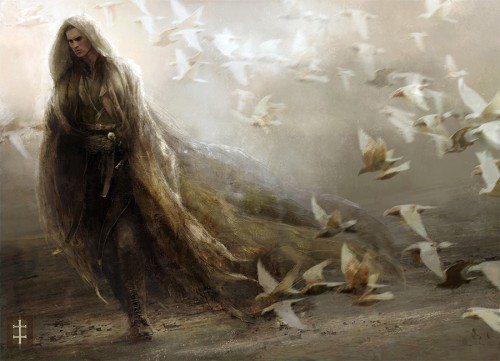 __helian_doves___by_eventrue-d6e8rlr.jpg